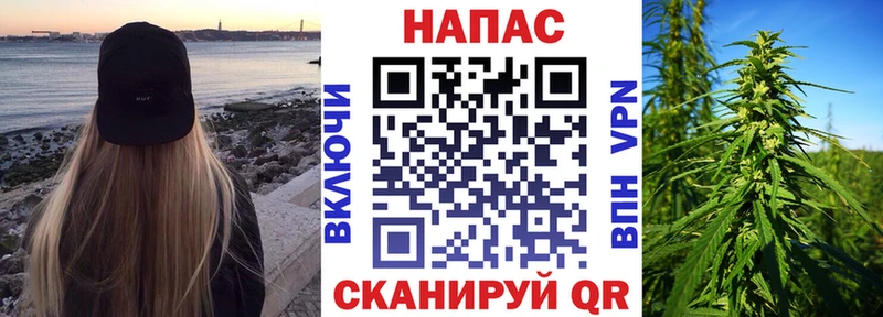 Конопля планчик  Апрелевка 